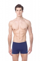 ARENA WASHY SHORT (001284)