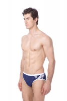 Плавки ARENA TEAM STRIPE BRIEF (001285)