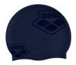 ARENA TEAM STRIPE CAP (001463 2021-2022)