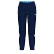 Arena 7/8 TEAM PANT (001780 710 2025 - new)