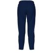 Arena 7/8 TEAM PANT (001780 710 2025 - new)