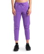Arena 7/8 TEAM PANT (001780 710 2024/2025)