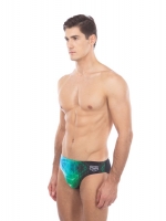 ARENA CYBER BRIEF (001796)