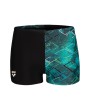 Arena ARENA DALY SWIM SHORT JR (003297 508 2024/2025)