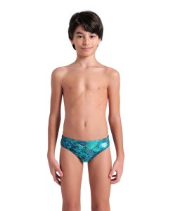 Arena ARENA DALY SWIM BRIEFS JR (003298 809 2024/2025)