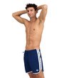 Шорты ARENA ICONS TEAM STRIPE BOXER