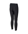 Arena TEAM LONG TIGHT PANEL (004897 500 2024/2025)