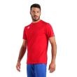 Arena TEAM T-SHIRT PANEL (004899 100 2025 - new)
