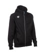 Arena TEAM HOODED JACKET PANEL (004906 500 2024/2025)