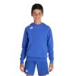 Arena TEAM HOODED SWEAT PANEL JR (004919 800 2025 - new)