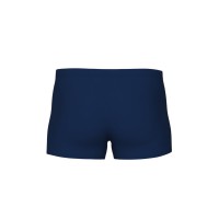 Arena ARENA ICONS SWIM SHORT SOLID (005050 710 2024/2025)