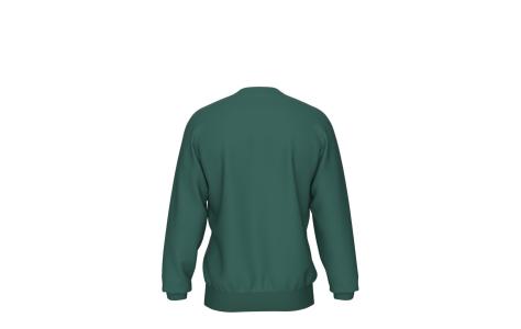 Arena CREW SWEAT SOLID (005188 606 2025 - new)
