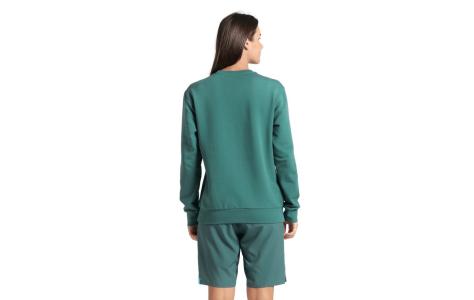 Arena CREW SWEAT SOLID (005188 606 2025 - new)