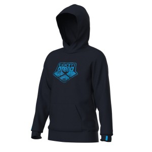 Arena HOODED SWEAT LOGO (005335 710 2024/2025)