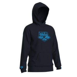 Arena HOODED SWEAT LOGO (005335 710 2024/2025)