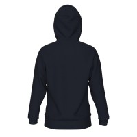 Arena HOODED SWEAT LOGO (005335 710 2024/2025)