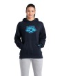 Arena HOODED SWEAT LOGO (005335 710 2024/2025)
