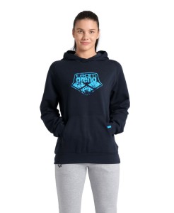 Arena HOODED SWEAT LOGO (005335 710 2024/2025)