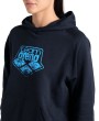 Arena HOODED SWEAT LOGO (005335 710 2024/2025)