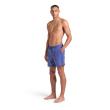 Arena ARENA EVO BEACH BOXER SOLID (006060 851 2025 - new)