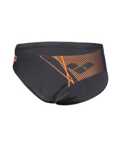 Плавки ARENA BRANCH SWIM BRIEFS (006261 550 2023)