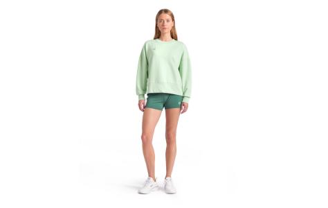Arena OVERSIZED CREW NECK (006580 606 2025 - new)