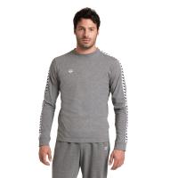 Arena ARENA ICONS L/S (006823 552 2025 - new)