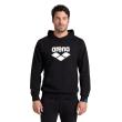 Arena ARENA HOODED SWEAT GRAPHIC (007230 500 2025 - new)