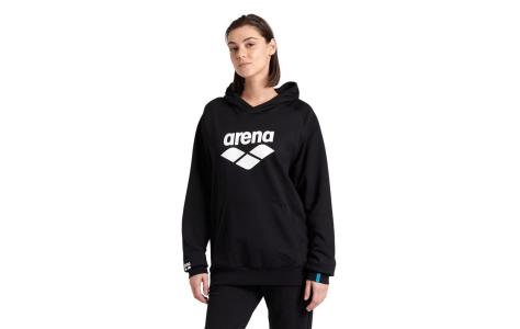Arena ARENA HOODED SWEAT GRAPHIC (007230 500 2025 - new)