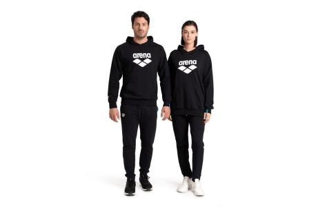 Arena ARENA HOODED SWEAT GRAPHIC (007230 500 2025 - new)