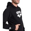 Arena ARENA HOODED SWEAT GRAPHIC (007230 500 2025 - new)
