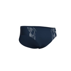 Arena ARENA REFLECTING SWIM BRIEFS (007338 701 2024/2025)