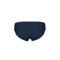 Arena ARENA REFLECTING SWIM BRIEFS (007338 701 2024/2025)