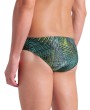 Arena ARENA ENERGY SWIM BRIEFS (007926 610 2024/2025)