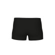 Arena ARENA STRIPE SWIM SHORT (007930 550 2024/2025)