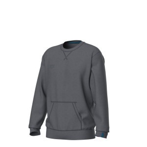 Arena CREW SWEAT VINTAGE (008108 521 2024/2025)