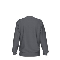 Arena CREW SWEAT VINTAGE (008108 521 2024/2025)