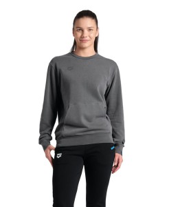 Arena CREW SWEAT VINTAGE (008108 521 2024/2025)