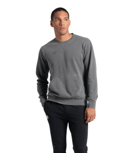 Arena CREW SWEAT VINTAGE (008108 521 2024/2025)