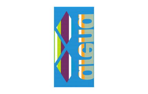 Arena ARENA BIG LOGO VELOUR TOWEL (009053 890 2025 - new)