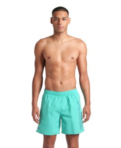 Arena ARENA LOGOTYPE BEACH BOXER (009102 550 2025)
