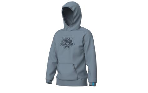 Arena ARENA HOODED SWEAT LOGO (009388 555 2025 - new)