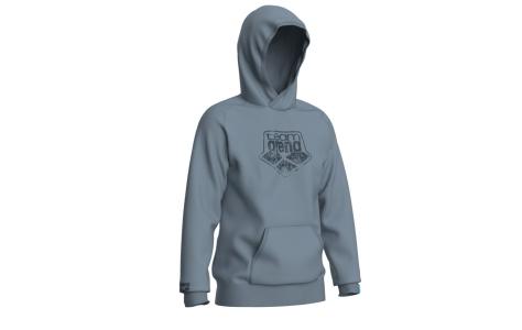 Arena ARENA HOODED SWEAT LOGO (009388 555 2025 - new)