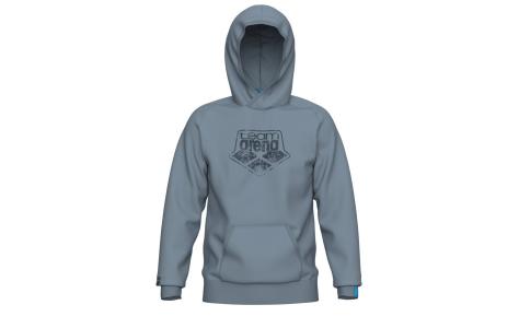 Arena ARENA HOODED SWEAT LOGO (009388 555 2025 - new)