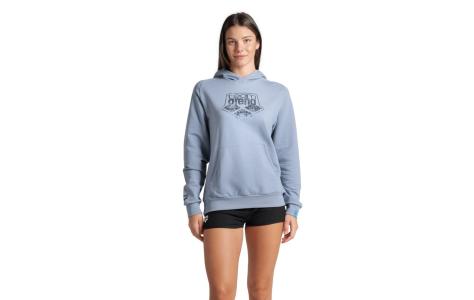 Arena ARENA HOODED SWEAT LOGO (009388 555 2025 - new)