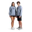 Arena ARENA HOODED SWEAT LOGO (009388 555 2025 - new)