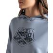 Arena ARENA HOODED SWEAT LOGO (009388 555 2025 - new)