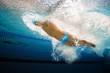 Arena ARENA SWIM BRIEFS ALLOVER (010024 707 2024/2025)