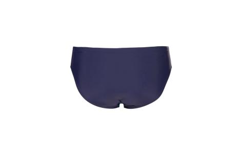 Arena ARENA STRIPEFLOW SWIM BRIEFS (010981 781 2026 - new)