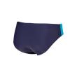 Arena ARENA STRIPEFLOW SWIM BRIEFS (010981 781 2026 - new)